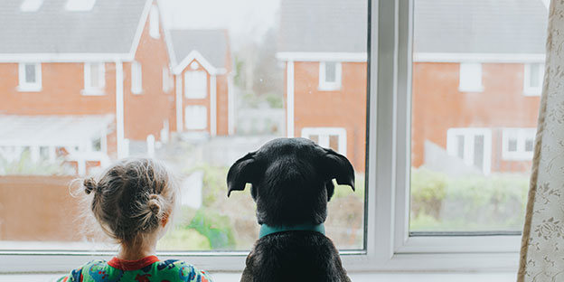 Young girl and dog looking out window at houses opposite